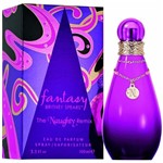Ficha técnica e caractérísticas do produto Perfume Britney Spears Fantasy The Naughty EDT Fem 50ML
