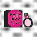 Ficha técnica e caractérísticas do produto Perfume Britney Spears Prerogative EDP F 100ML
