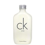 Ficha técnica e caractérísticas do produto Perfume Calvin Klein Ck One Unissex. Eau de Toilette (100 Ml) - 100 ML