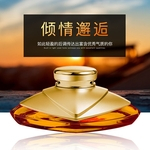 Ficha técnica e caractérísticas do produto Perfume carro Fragrância Ambientador Óleos essenciais Difusor Automóveis Ornamentos