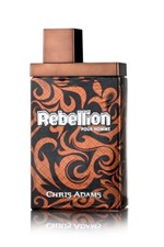 Ficha técnica e caractérísticas do produto Perfume Chris Adams Rebellion Masculino 100ML Edt