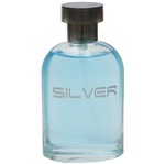 Ficha técnica e caractérísticas do produto Perfume Christine Darvin Masculino Silver Edt100ml