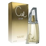 Ficha técnica e caractérísticas do produto Perfume Ciel D'or Eau de Toilette Feminino 80ml
