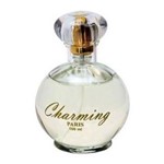 Ficha técnica e caractérísticas do produto Perfume Cuba Charming Feminino - 100ml