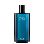 Ficha técnica e caractérísticas do produto Perfume Davidoff Cool Water Eau de Toilette Masculino 125ml