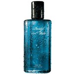 Perfume Davidoff Cool Water Masculino Eau de Toilette 40ml