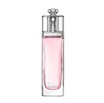 Ficha técnica e caractérísticas do produto Perfume Dior Addict Eau Fraiche EDT F 100ML