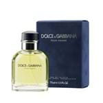 Ficha técnica e caractérísticas do produto Perfume Dolce & Gabbana Pour Homme Masculino Eau de Toilette 75ml