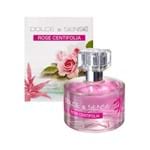 Perfume EDT Dolce e Sense Centifolia 60ml