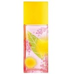 Ficha técnica e caractérísticas do produto Perfume Elizabeth Arden Green Tea Mimosa Eau de Toilette Feminino 100ML