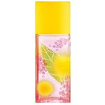 Ficha técnica e caractérísticas do produto Perfume Elizabeth Arden Green Tea Mimosa Eau de Toilette Feminino - 50ml