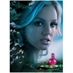 Ficha técnica e caractérísticas do produto Perfume Fantasy EDP Feminino Britney Spears