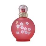 Ficha técnica e caractérísticas do produto Perfume Fantasy In Bloom Femnino Eau de Toilette 100ml