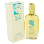 Ficha técnica e caractérísticas do produto Perfume Feminino Blue Grass Parfum Elizabeth Arden Eau de Parfum - 100 Ml