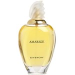 Ficha técnica e caractérísticas do produto Perfume Feminino Givenchy Amarige Edt - 100 ML