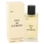 Ficha técnica e caractérísticas do produto Perfume Feminino Iceberg Eau de Toilette - 100 Ml