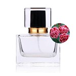 Ficha técnica e caractérísticas do produto Perfume Feminino Sexy Cravo Flor 100ml - Giga Imports
