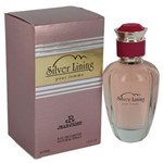 Ficha técnica e caractérísticas do produto Perfume Feminino Silver Lining Jean Rish Eau de Parfum - 100ml