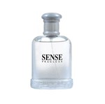 Ficha técnica e caractérísticas do produto Perfume Fragluxe Sense EDT 100ML