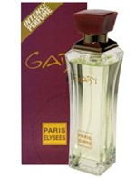 Ficha técnica e caractérísticas do produto Perfume Gaby Edt 100ml Feminino - Paris Elysees