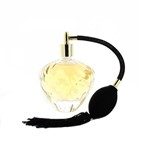 Ficha técnica e caractérísticas do produto Perfume Georges Mezotti Salon Classique Edp 100ML
