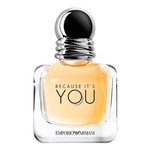 Ficha técnica e caractérísticas do produto Perfume Giorgio Armani Because Its You Edp Feminino 100ml