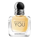 Ficha técnica e caractérísticas do produto Perfume Giorgio Armani Emporio Because It's You Eau de Parfum Feminino 100ML