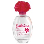 Ficha técnica e caractérísticas do produto Perfume Gres Cabotine Fleur de Passion EDT F 100ML