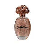 Ficha técnica e caractérísticas do produto Perfume Gres Cabotine Fleur Splendide EDT 100