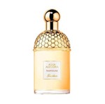 Perfume Guerlain Aqua Allegoria Pamplelune Unissex EDT 75ML