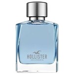 Ficha técnica e caractérísticas do produto Perfume Hollister Wave Eau de Toilette Masculino 50Ml