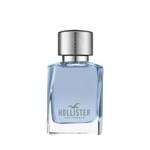 Ficha técnica e caractérísticas do produto Perfume Hollister Wave Masculino Eau de Toilette 50ml