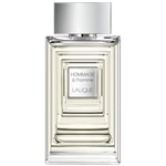 Ficha técnica e caractérísticas do produto Perfume Hommage a L`Homme Masculino Eau de Toilette 50ml | Lalique - 50 ML