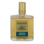 Ficha técnica e caractérísticas do produto Perfume Importado Stetson Cooling Moisture Pós Barba 100 Ml P/ Homens (aroma Suave) - Coty By Coty