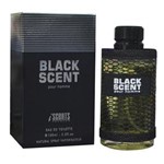 Ficha técnica e caractérísticas do produto Perfume Iscents Black Scent EDT M - 100ml
