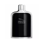 Ficha técnica e caractérísticas do produto Perfume Jaguar Black EDT M 100ML