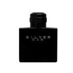 Ficha técnica e caractérísticas do produto Perfume Jeanne Arthes Silver Man Acqua Di Profumo EDT 100ML