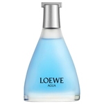 Ficha técnica e caractérísticas do produto Perfume Loewe Agua Él Eau De Toilette - 100 Ml