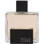 Ficha técnica e caractérísticas do produto Perfume Loewe Solo Edt 125Ml Masculino