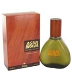 Ficha técnica e caractérísticas do produto Perfume Masculino Agua Brava Antonio Puig 100 Ml Eau de Cologne
