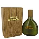 Ficha técnica e caractérísticas do produto Perfume Masculino Antonio Puig Agua Brava 500 Ml Cologne