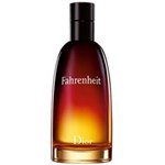 Ficha técnica e caractérísticas do produto Perfume Masculino Dior Fahrenheit Edt - 50 ML