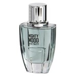 Ficha técnica e caractérísticas do produto Perfume Masculino Mighty Mood Linn Young Coscentra Eau de Toilette - 100 Ml