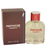 Ficha técnica e caractérísticas do produto Perfume Masculino Penthouse Powerful 100 Ml Eau de Toilette Spray