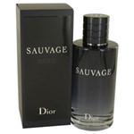 Ficha técnica e caractérísticas do produto Perfume Masculino Sauvage Christian Dior Eau de Toilette - 200ml