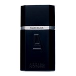 Ficha técnica e caractérísticas do produto Perfume Masculino Silver Black 100ml EDT