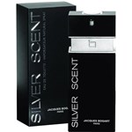 Ficha técnica e caractérísticas do produto Perfume Masculino Silver Scentt 100ml