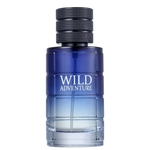 Ficha técnica e caractérísticas do produto Perfume Masculino Wild Adventure Linn Young Coscentra Eau de Toilette 100ml