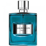 Ficha técnica e caractérísticas do produto Perfume Mauboussin Pour Lui Time Out Edp M 100Ml