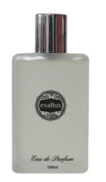 Ficha técnica e caractérísticas do produto Perfume Mont Blanc Masculino (contratipo) 100ml - Exallus